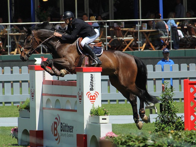 深入分析他 深入分析他