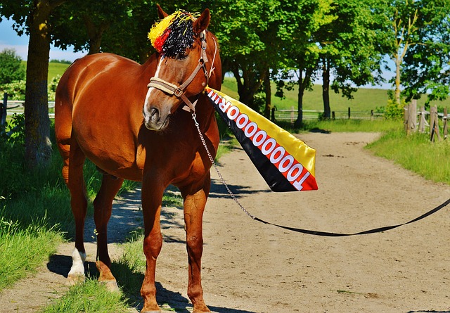 中一直在寻 中一直在寻