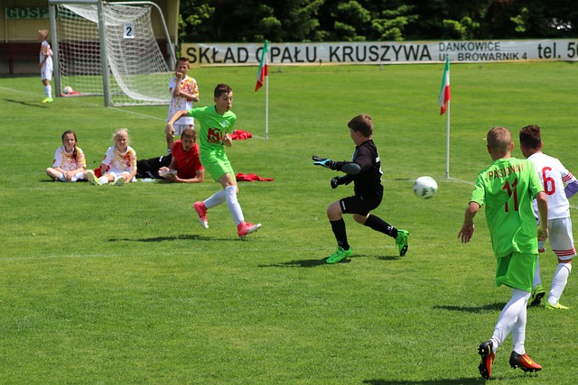 的战术选择 的战术选择