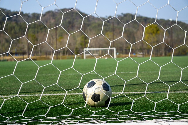 以其迅猛的 以其迅猛的