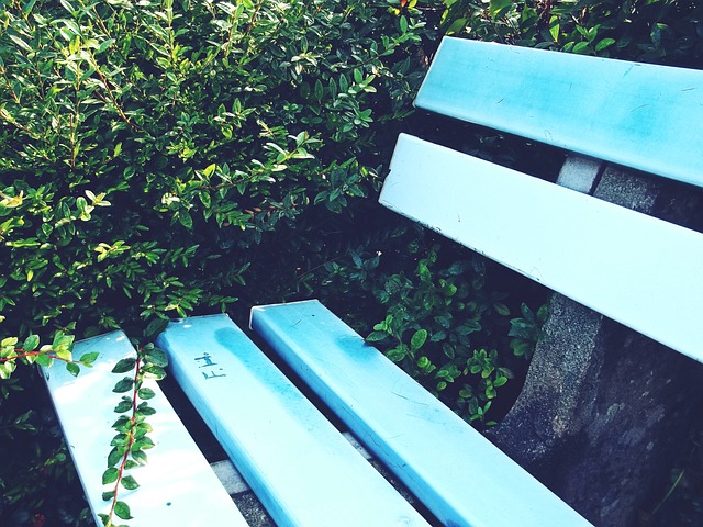 括改善青少 括改善青少