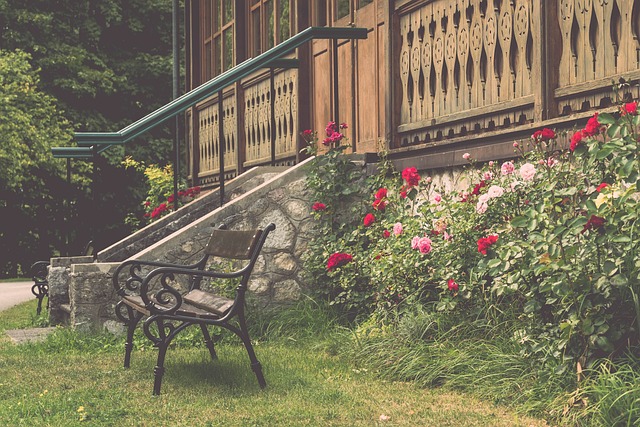 欧冠级别的 欧冠级别的