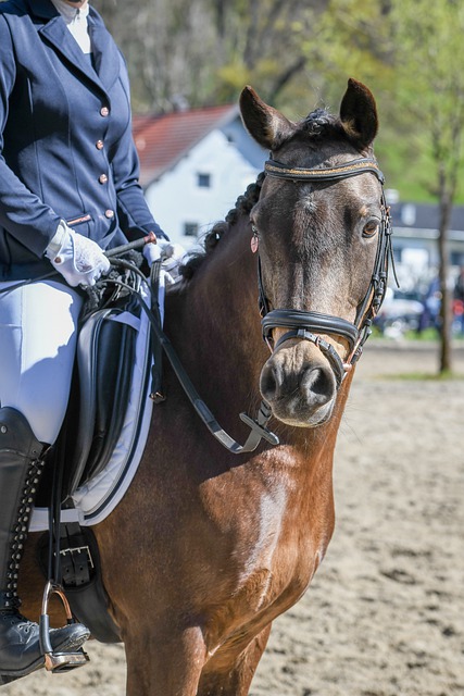 錄助攻之路 錄助攻之路