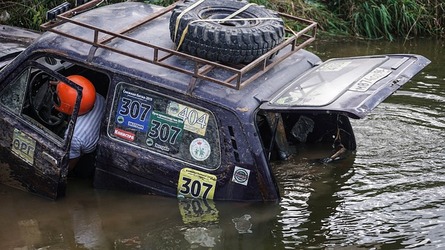 我们目睹了 我们目睹了