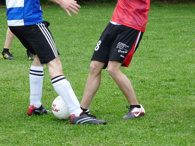 两种文化的 两种文化的